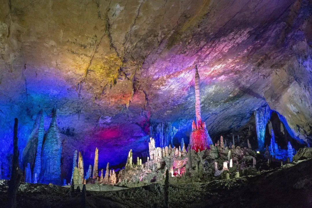 救援怒吼的狮子